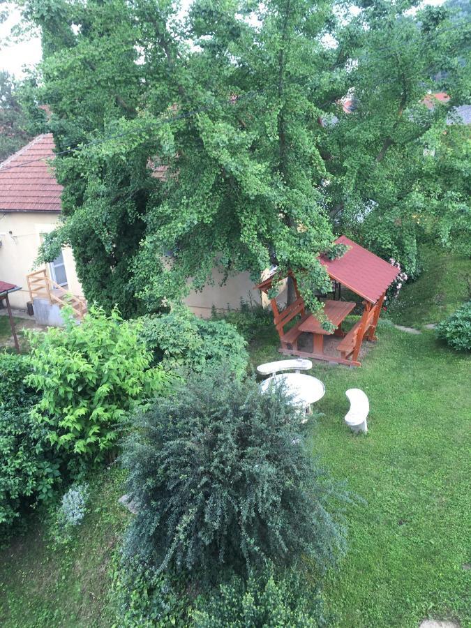 Bogoly Apartman Tokaj Exteriör bild