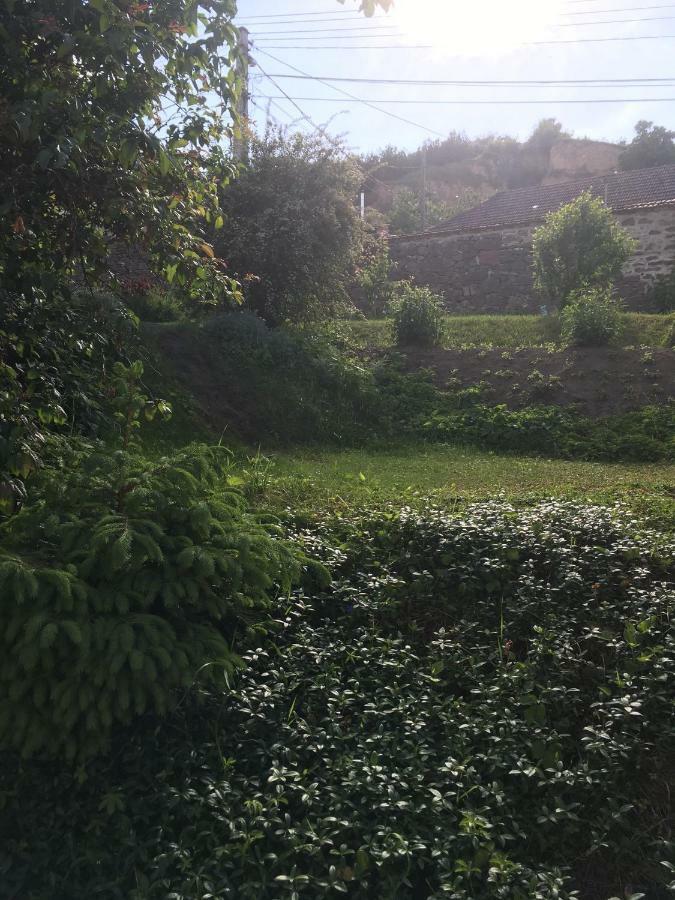 Bogoly Apartman Tokaj Exteriör bild