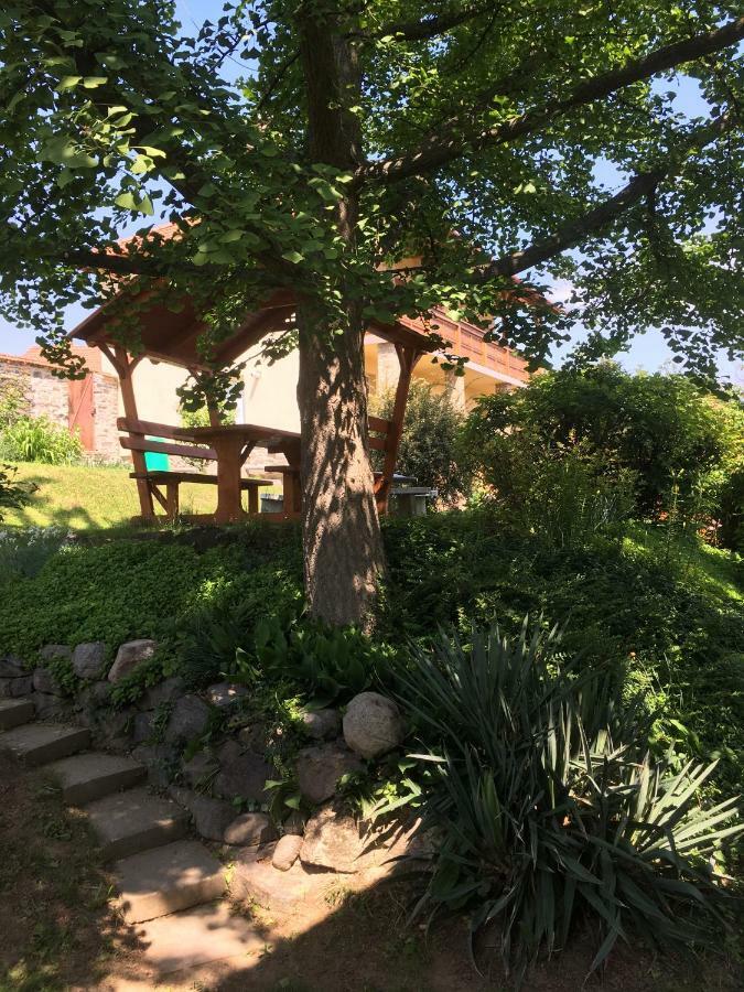 Bogoly Apartman Tokaj Exteriör bild